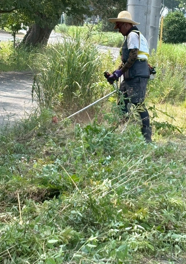 草刈りボランティア